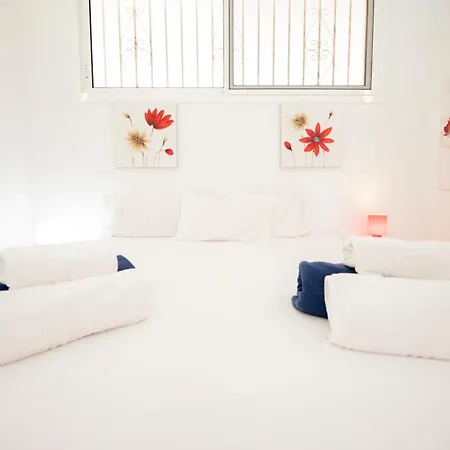 Seagulls Melody C-209 * Costa Adeje (Tenerife)