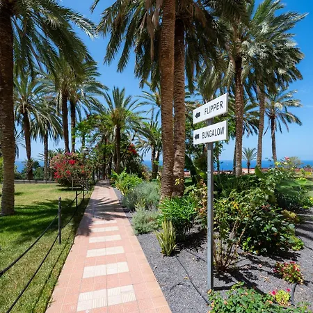 Seagulls Melody C-209 *