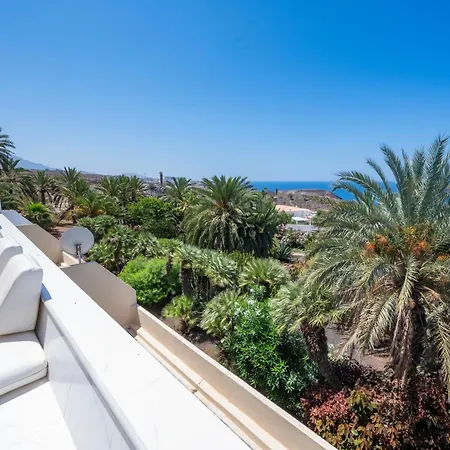 Seagulls Melody C-209