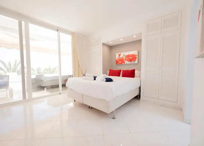 Seagulls Melody C-209 * アデヘ