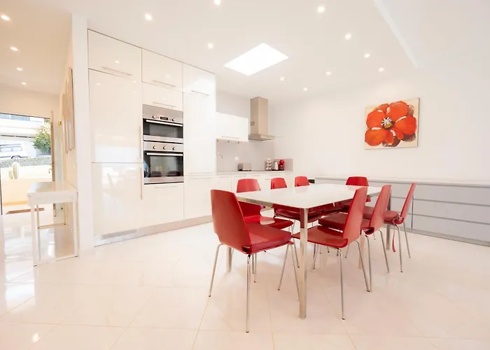 Seagulls Melody C-209