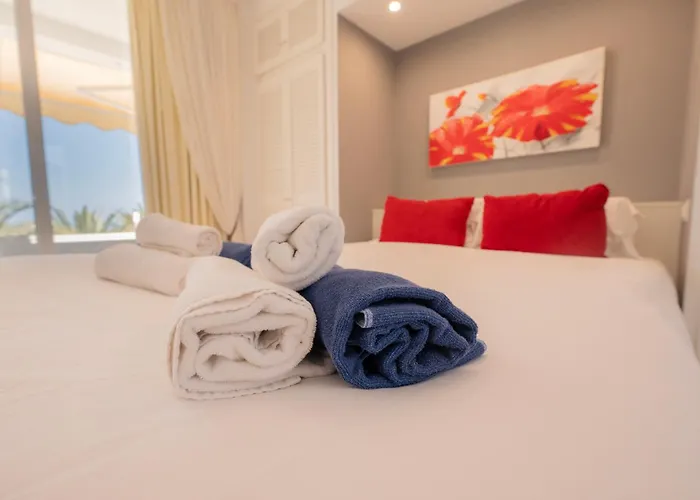 Seagulls Melody C-209 *