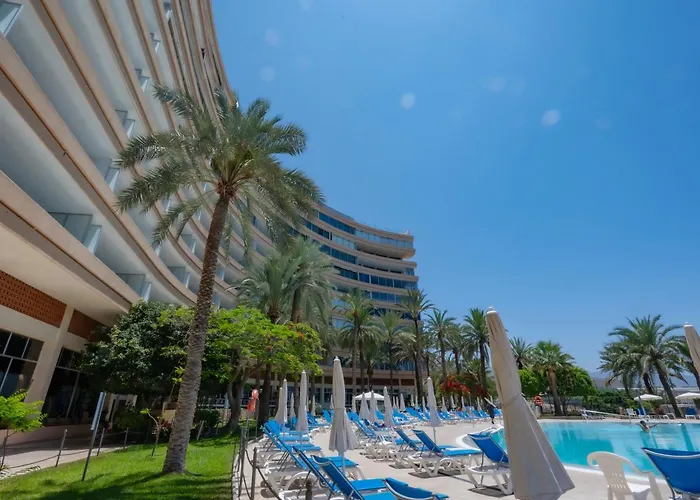 Seagulls Melody C-209 * アデヘ