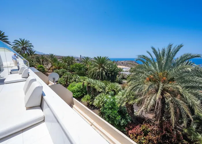 Seagulls Melody C-209