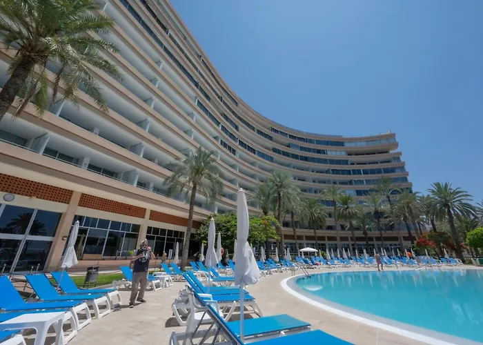 Seagulls Melody C-209 *