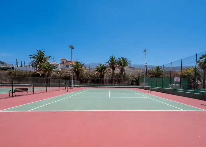 Seagulls Melody C-209 アデヘ