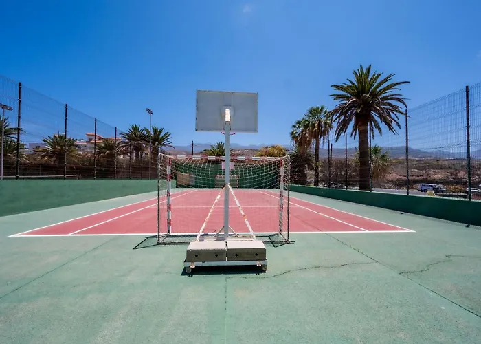 Seagulls Melody C-209 * アデヘ