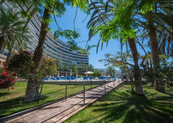 Seagulls Melody C-209