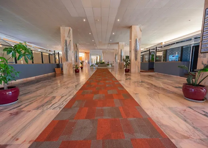 Διαμέρισμα Seagulls Melody C-209