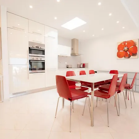 Seagulls Melody C-209