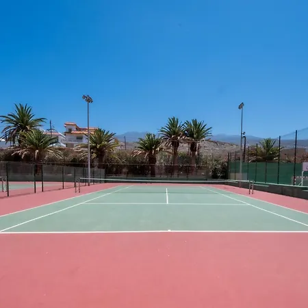 Seagulls Melody C-209 아데제