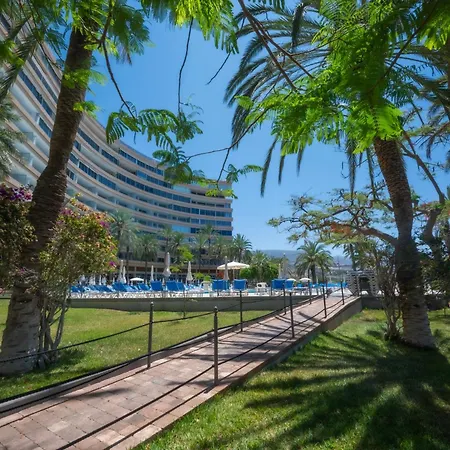 Seagulls Melody C-209