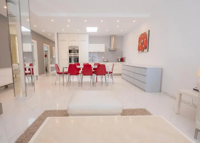 Seagulls Melody C-209 *