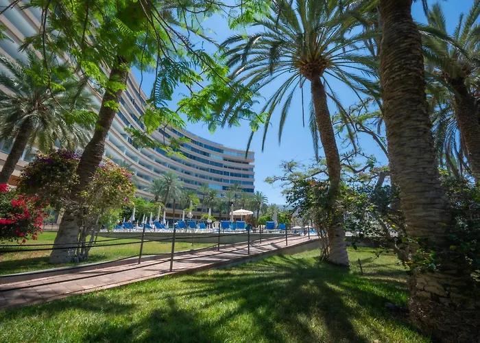 Seagulls Melody C-209 Lejlighed Costa Adeje (Tenerife)