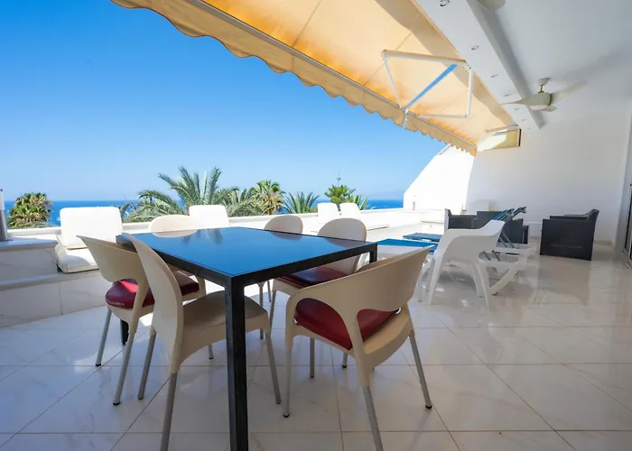 Seagulls Melody C-209 *