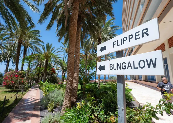 Lejlighed Seagulls Melody C-209 Costa Adeje (Tenerife)