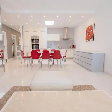 Seagulls Melody C-209 *