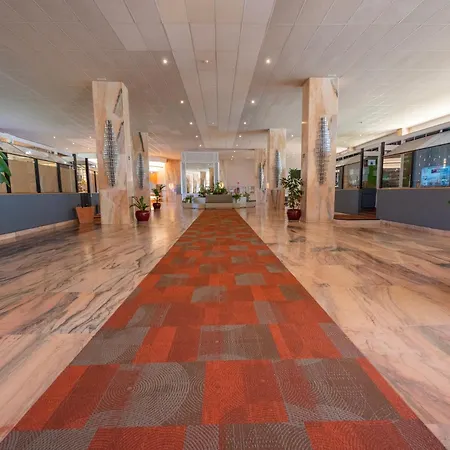 Apartment Seagulls Melody C-209